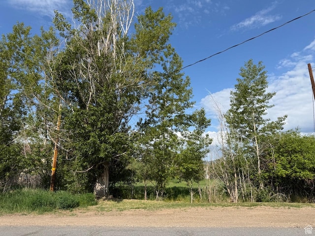 123 N 200 E Unit 1, Kamas, UT 84036