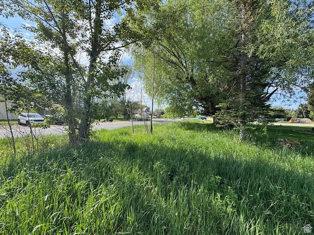 123 N 200 E Unit 1, Kamas, UT 84036
