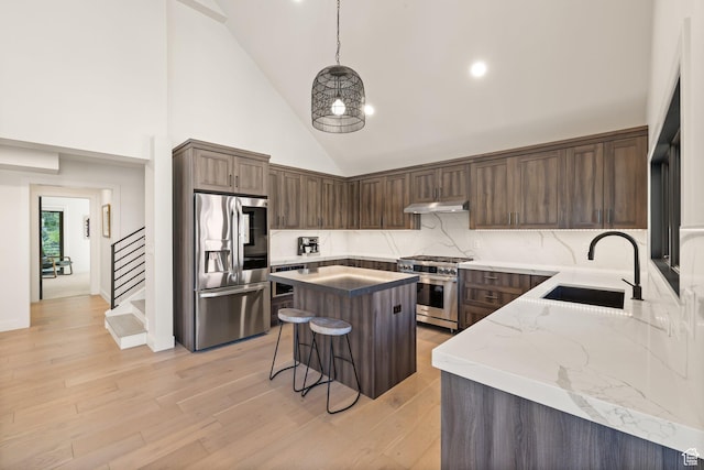 51 Daly Ave, Park City, UT 84060 - kitchen featuring appliances with stainless steel finishes, under cabinet range hood, a kitchen bar, a kitchen island, and light wood-style floors