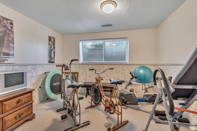 955 W Charlotte Dr, South Jordan, UT 84095 - workout area with wainscoting, a textured ceiling, carpet flooring, and wallpapered walls