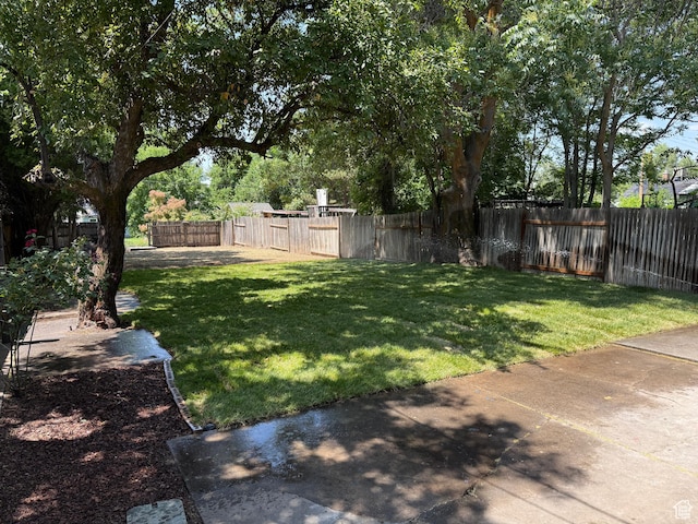 2327 S Custer E, Ogden, UT 84401 - view of fenced backyard