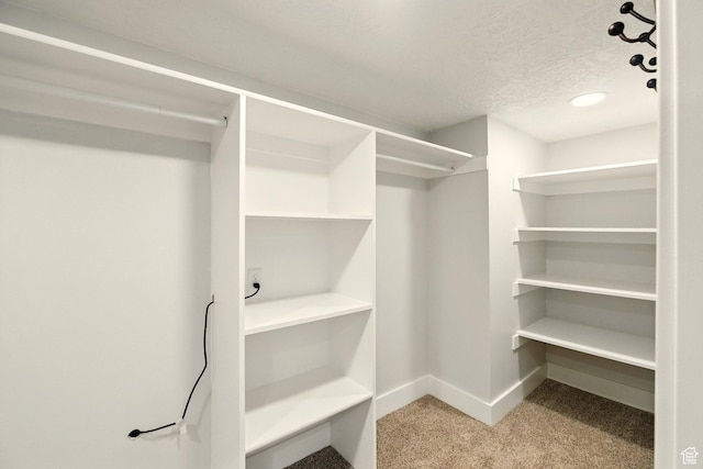 964 E Stewart Hill Dr, River Heights, UT 84321 - spacious closet featuring carpet floors