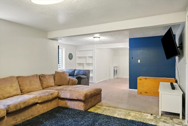 130 Summit Dr, Smithfield, UT 84335 - living room with carpet floors, a textured ceiling, and built in features