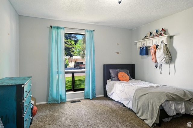 130 Summit Dr, Smithfield, UT 84335 - bedroom with carpet floors and a textured ceiling