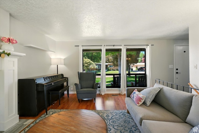 130 Summit Dr, Smithfield, UT 84335 - living area with healthy amount of natural light, wood finished floors, and a textured ceiling
