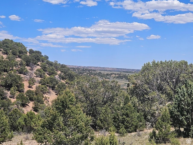 72 Bandanna Dr Unit 72, Fruitland, UT 84027