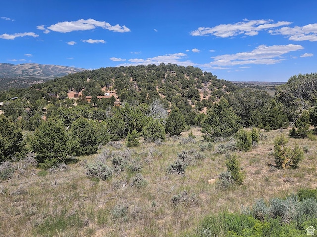 72 Bandanna Dr Unit 72, Fruitland, UT 84027
