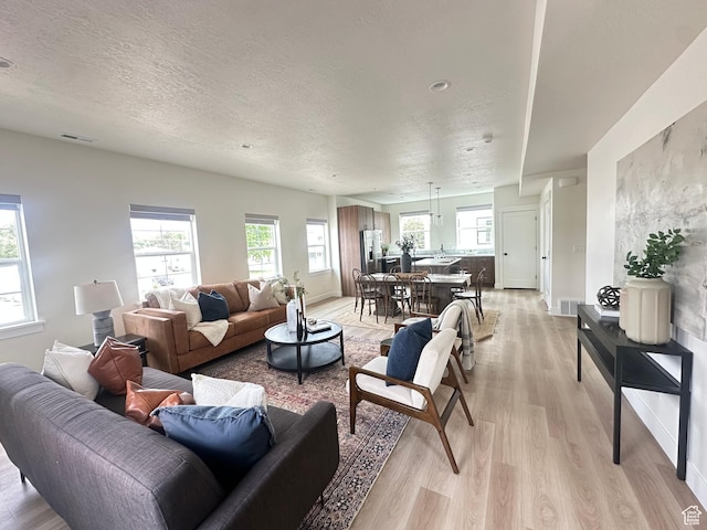 7846 S Holden St, Midvale, UT 84047 - living room featuring light wood finished floors and a textured ceiling
