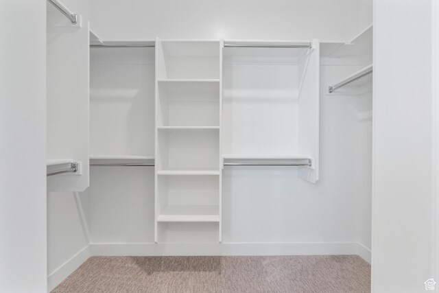 1344 W View Dr S, Santaquin, UT 84655 - walk in closet with carpet flooring