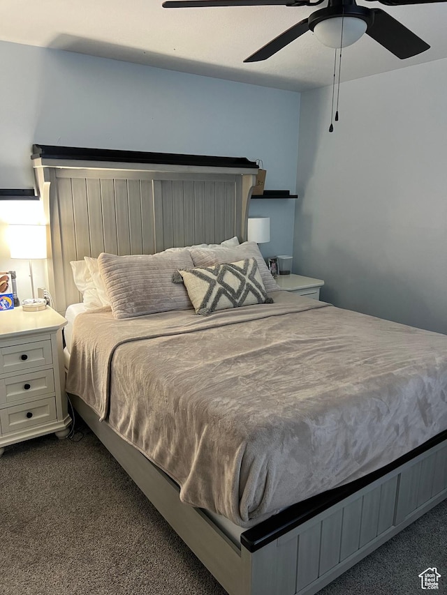 696 S 100 E, Roosevelt, UT 84066 - bedroom featuring dark colored carpet and ceiling fan