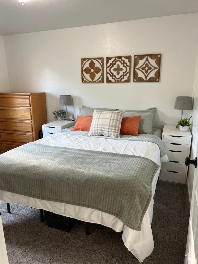 696 S 100 E, Roosevelt, UT 84066 - view of carpeted bedroom