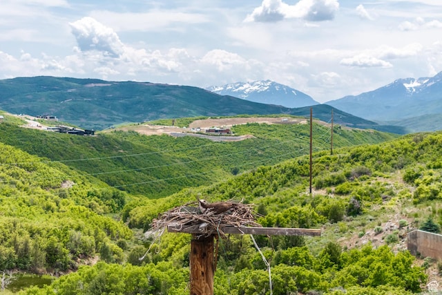 1773 E Longview Dr, Hideout, UT 84036 - mountain view featuring a forest