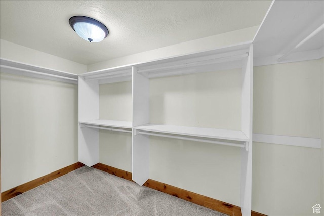 393 N Crestline Cir, St George, UT 84790 - walk in closet with carpet