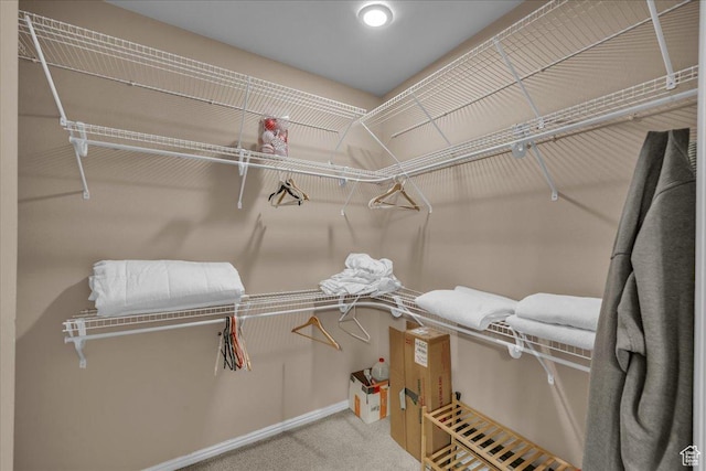 1621 W Wonderstone Dr, St George, UT 84790 - walk in closet with carpet flooring