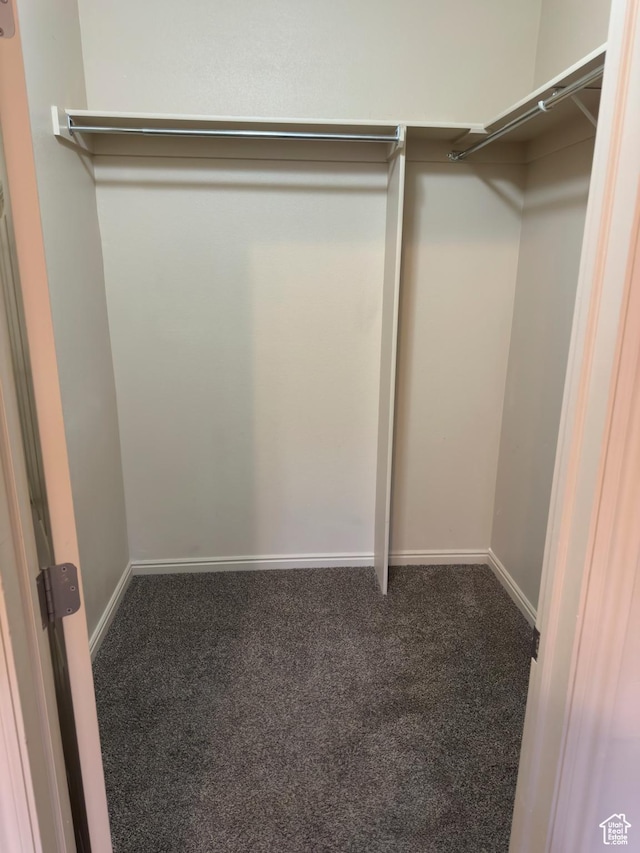 1513 W 190 N, Pleasant Grove, UT 84062 - walk in closet with carpet