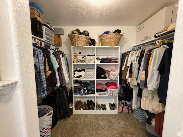 2156 W 4750 N, Roosevelt, UT 84066 - walk in closet with carpet