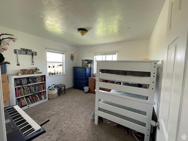 2156 W 4750 N, Roosevelt, UT 84066 - bedroom with multiple windows, carpet flooring, and a textured ceiling