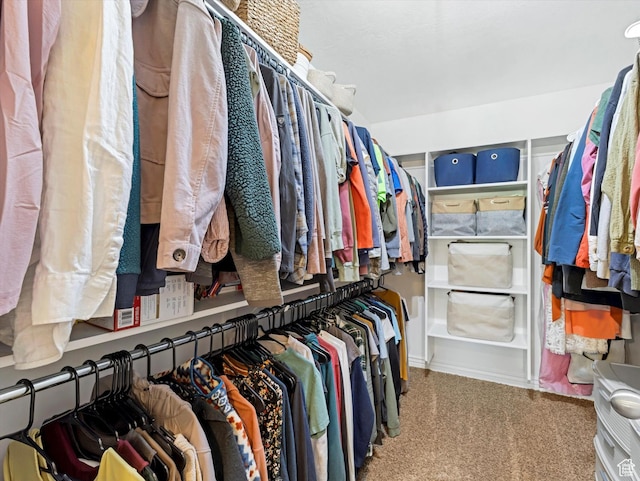 430 E 2010 S, Heber City, UT 84032 - walk in closet with carpet
