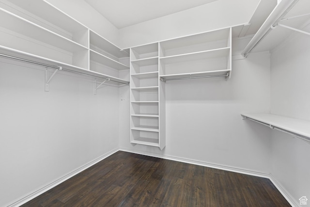 250 N Snow Canyon Dr Unit 16, Ivins, UT 84738 - walk in closet with wood finished floors