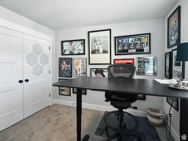 3052 N Mountain Rd, North Ogden, UT 84414 - carpeted office featuring a textured ceiling and baseboards