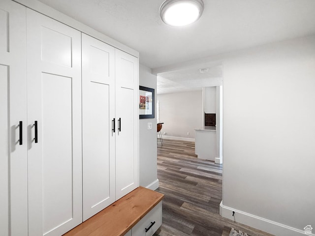 3052 N Mountain Rd, North Ogden, UT 84414 - mudroom with baseboards and dark wood-type flooring