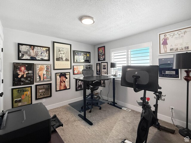 3052 N Mountain Rd, North Ogden, UT 84414 - office with a textured ceiling and carpet