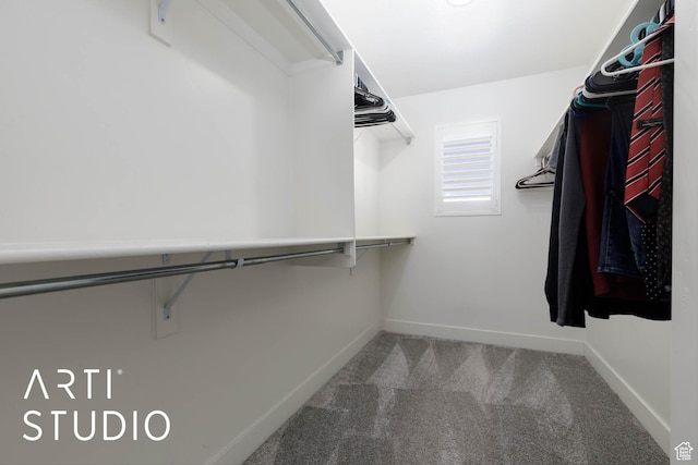 6297 S Zelda Dr, St George, UT 84790 - walk in closet featuring carpet floors