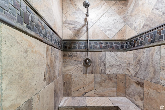 1883 S Purple Sage Dr, Washington, UT 84780 - bathroom with a tile shower