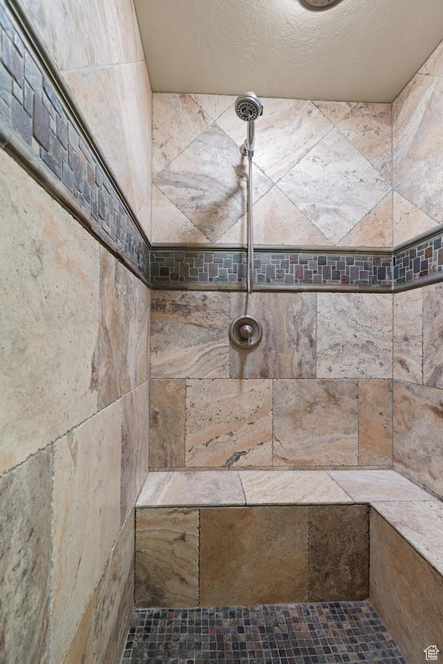 1883 S Purple Sage Dr, Washington, UT 84780 - full bathroom with tiled shower