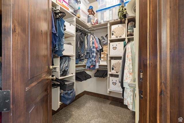 1883 S Purple Sage Dr, Washington, UT 84780 - spacious closet featuring carpet floors