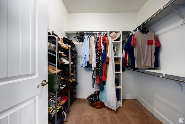 136 W Spring Hill Way Unit 801, Saratoga Springs, UT 84045 - spacious closet featuring carpet flooring