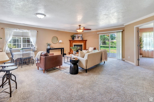 1408 W Westbridge Dr S, Provo, UT 84601 - living area with ceiling fan, ornamental molding, a textured ceiling, carpet flooring, and a fireplace