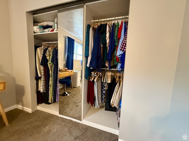 3677 S 2200 W Unit 41, West Valley City, UT 84119 - view of closet
