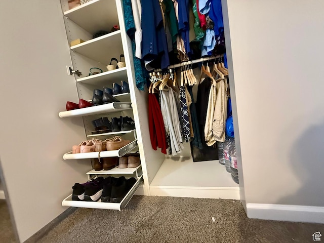 3677 S 2200 W Unit 41, West Valley City, UT 84119 - walk in closet with carpet