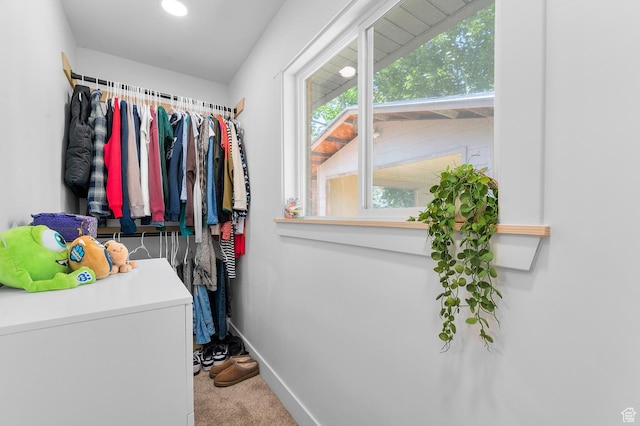 2317 N Timpview Dr E, Provo, UT 84604 - walk in closet featuring carpet flooring