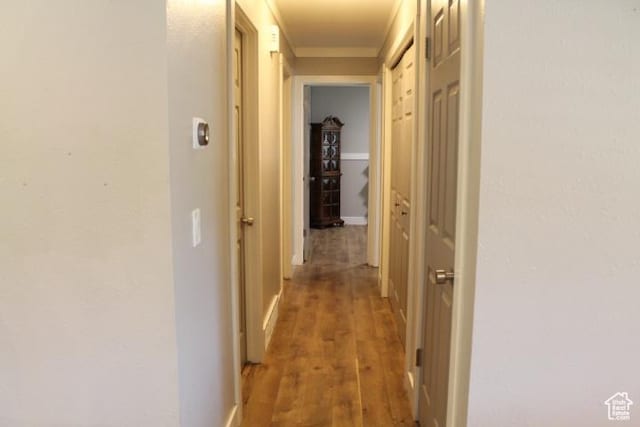 1268 E Edenbrook Dr, Sandy, UT 84094 - corridor with crown molding and light wood finished floors