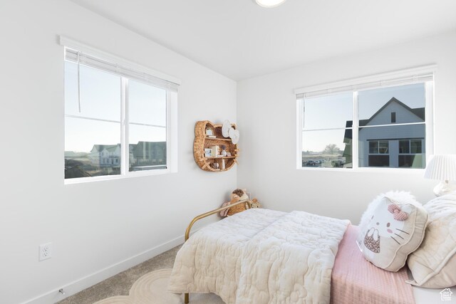 2719 N 2775 W Unit 120, Plain City, UT 84404 - bedroom featuring multiple windows and carpet flooring