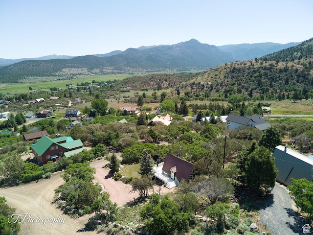 529 S Mahogany Ln W, Pine Valley, UT 84781 - photo 19