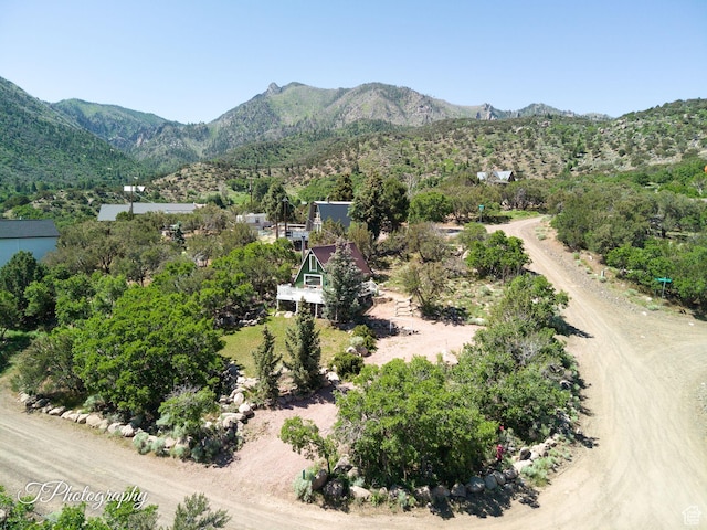 529 S Mahogany Ln W, Pine Valley, UT 84781 - photo 27