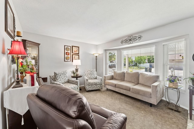 3573 S Deann Dr W, West Valley City, UT 84128 - carpeted living area featuring a textured ceiling and baseboards