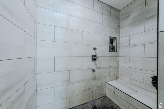 7395 N Johnson Canyon Rd, Kanab, UT 84741 - full bathroom featuring a tile shower