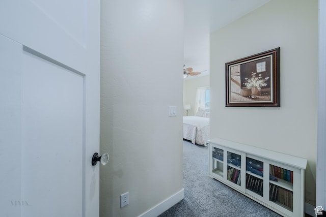 7395 N Johnson Canyon Rd, Kanab, UT 84741 - hall with carpet