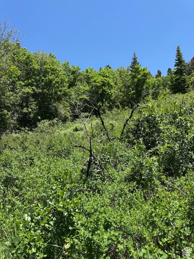 Unit M60, Fairview, UT 84629