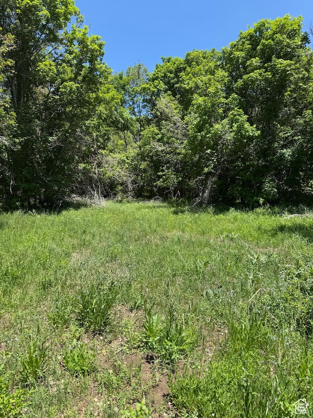 Unit M60, Fairview, UT 84629