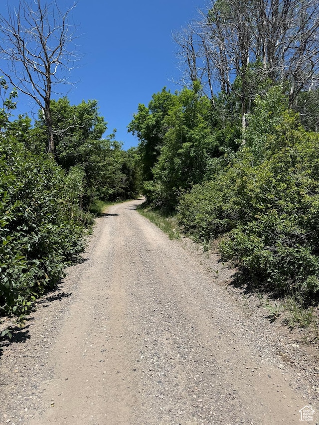Unit M60, Fairview, UT 84629
