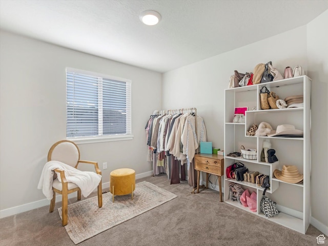 2297 N 250 W, Tooele, UT 84074 - spacious closet featuring carpet floors