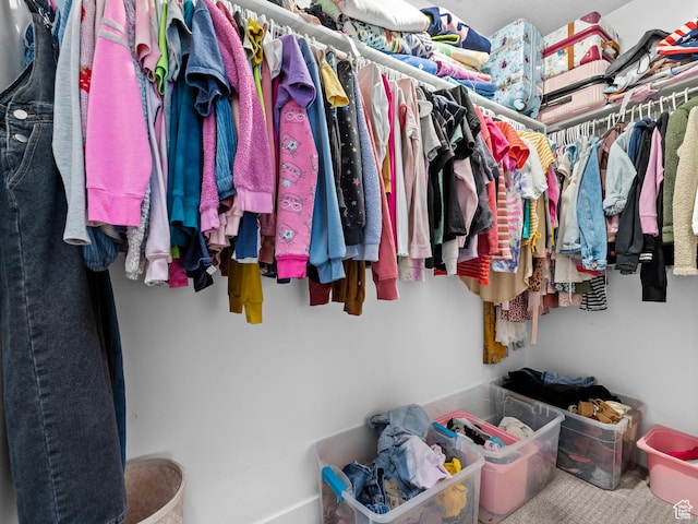 627 S Meade St, Mapleton, UT 84664 - view of walk in closet