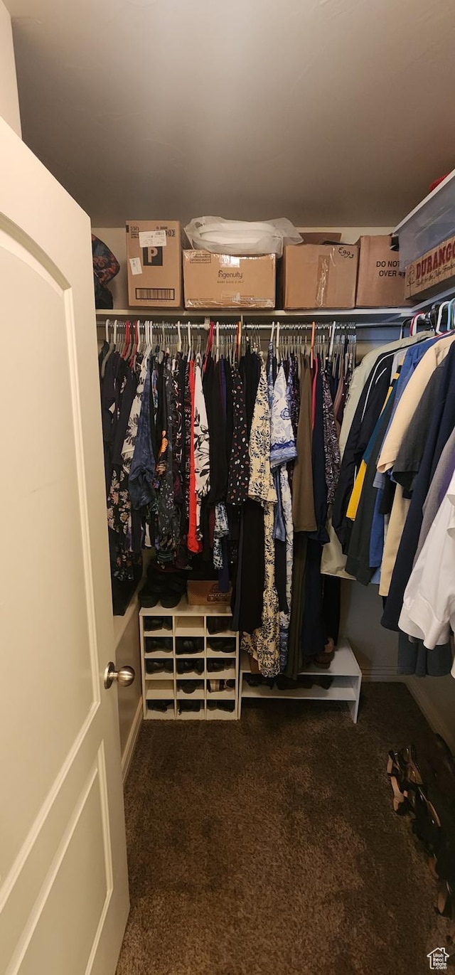 1751 E Canary Way, Eagle Mountain, UT 84005 - walk in closet featuring carpet floors