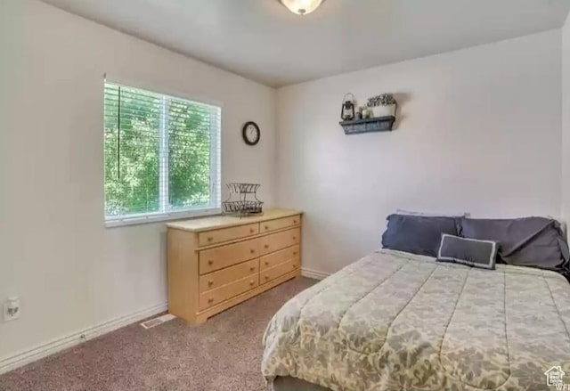 1751 E Canary Way, Eagle Mountain, UT 84005 - bedroom with carpet flooring and baseboards