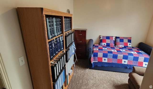 1751 E Canary Way, Eagle Mountain, UT 84005 - bedroom with carpet flooring